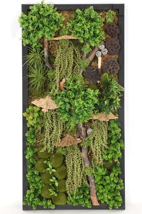 Ahşap Panoda Bitki Duvar Sukulent Bahçesi Tablo 50 cm x 100 cm - Yapay Çiçek Deposu