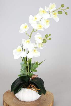 Yapay Çiçek Deposu - Küçük Kabak Saksıda 2 Dal Mini Yapay Islak Orkide Tanzimi Beyaz Sarı 45 cm