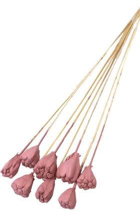 Yapay Çiçek Deposu - 8li Tropik Jack Seed Kuru Çiçek Soft Pembe