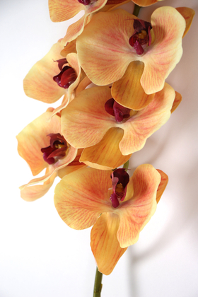 Yapay Islak Dokulu Premium Orkide Çiçeği 97 cm Kavuniçi - Thumbnail