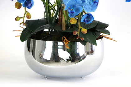 Metal Gümüş Saksıda Lüx 6lı Exclusive Mavi Orkide Tanzim - Thumbnail