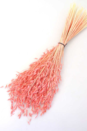 Kuru Çiçek Yulaf Otu Demeti 50 cm Açık Pembe - Yapay Çiçek Deposu