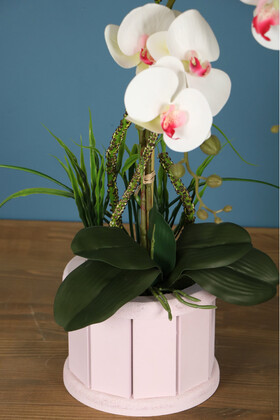 Oval Renkli Ahşap Saksıda 2li Orkide Aranjmanı Beyaz Pembe - Thumbnail