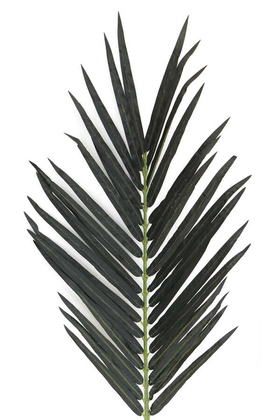 UV Dayanımlı Yapay Dev Palmiye Yaprağı 155cm - Thumbnail