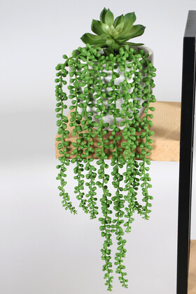 Beton Saksıda Succulentli Sarkan Tesbih Çiçeği 50 cm Yeşil - Thumbnail