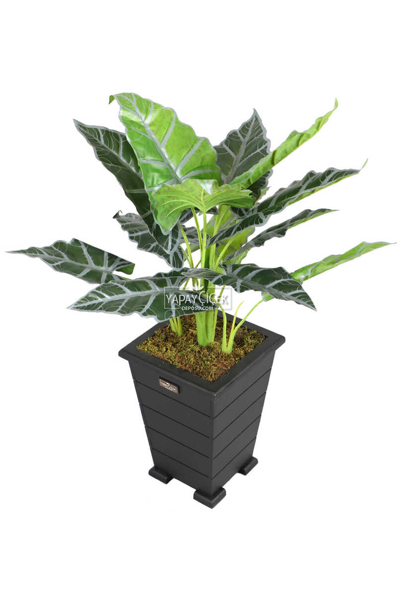 Yapay Alocasia Bitkisi Ahşap Konik Saksıda 85 Cm Yeşil-gri