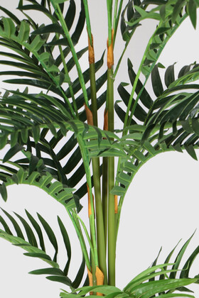 Siyah Saksıda Yapay Areka Palmiye Ağacı 180 cm - Thumbnail