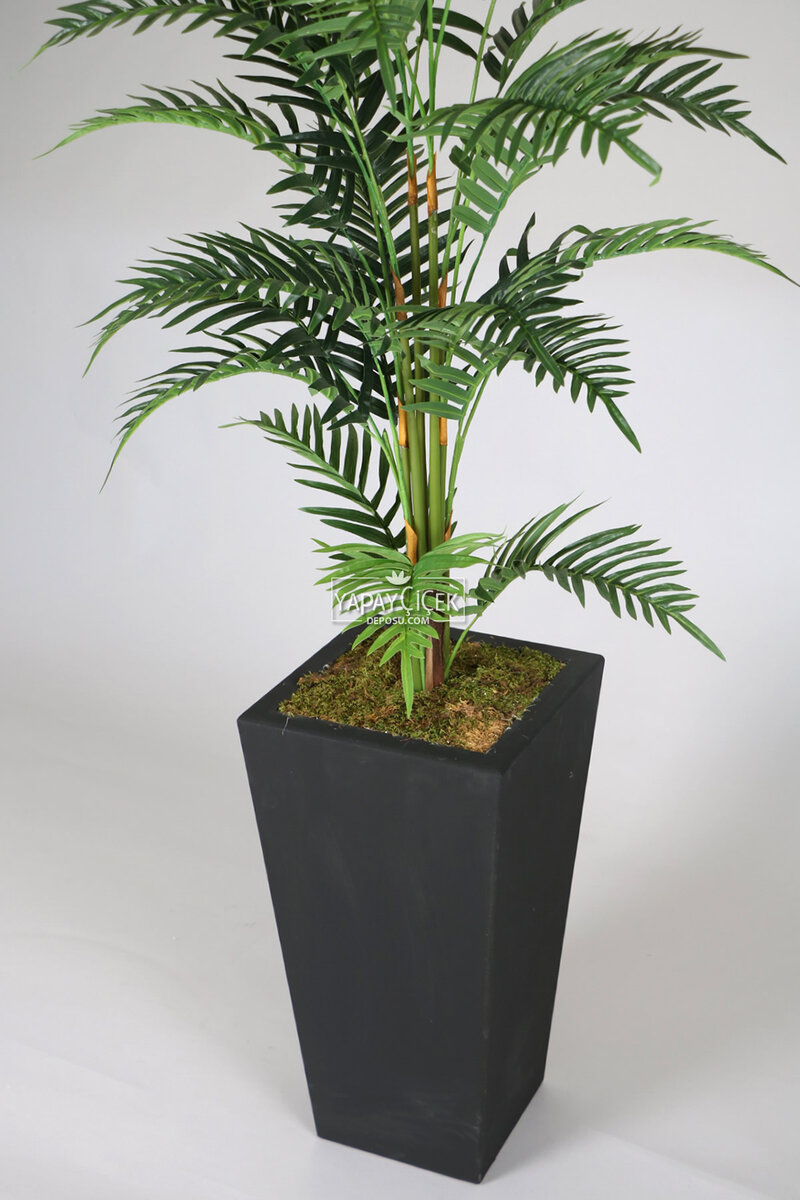 Siyah Saksıda Yapay Areka Palmiye Ağacı 180 cm