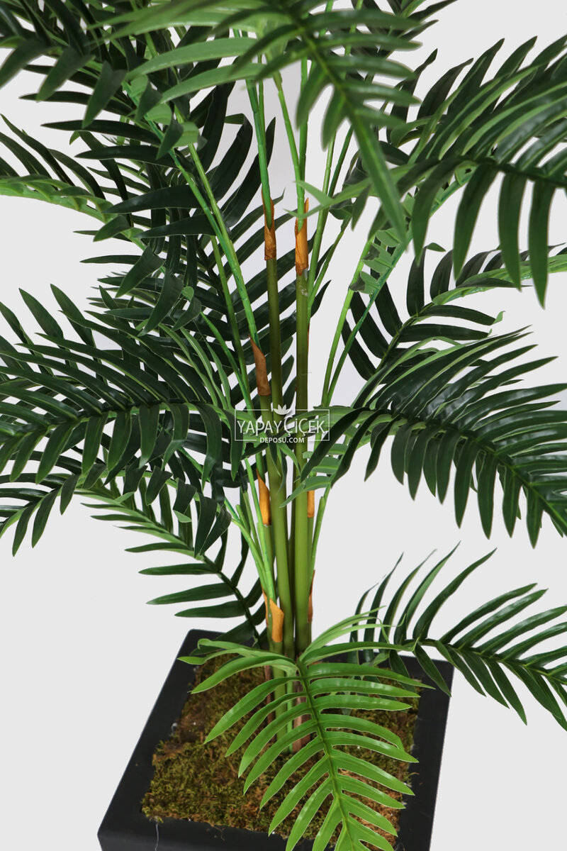 Siyah Saksıda Yapay Areka Palmiye Ağacı 180 cm