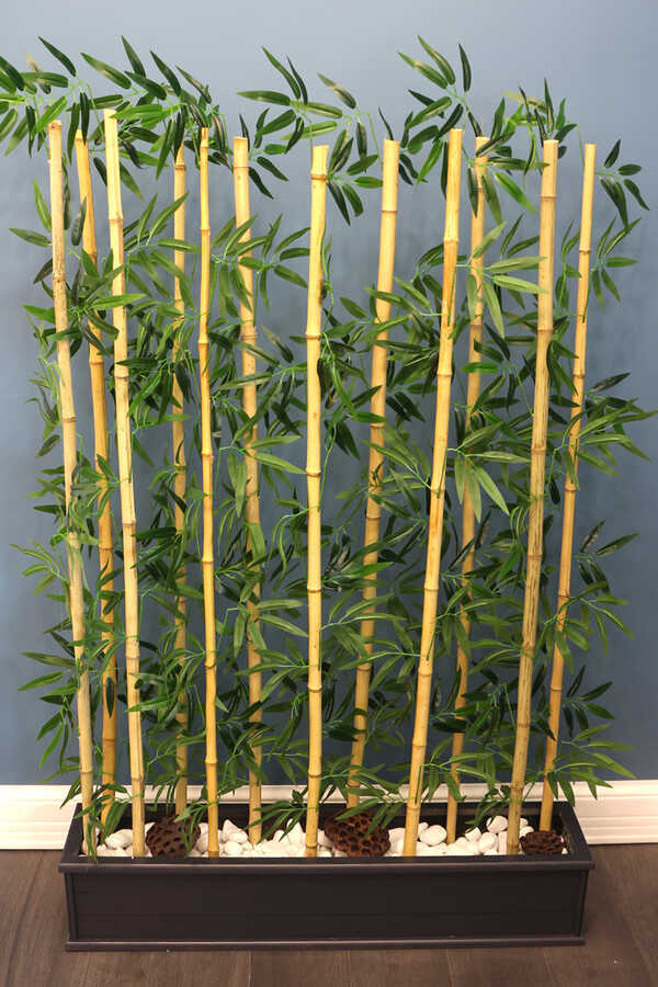 12 Bambulu Ahşap Saksıda Bambu Seperatör (20x100x160cm)