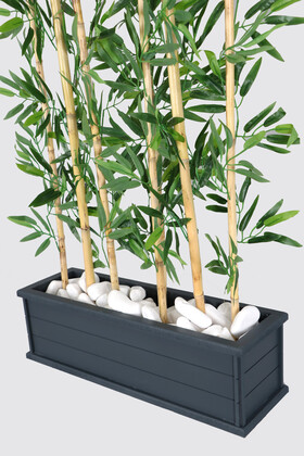 Islak Yapraklı 7 Çubuklu Gri Saksıda Bambu Seperatör Asorti (20x70x120-155cm) - Thumbnail
