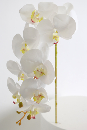 Yapay Çiçek Deposu - Yapay Dal Baskılı Orkide Çiçeği 88 cm Beyaz Fıstık