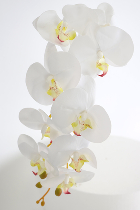 Yapay Dal Baskılı Orkide Çiçeği 88 cm Beyaz Fıstık - 2