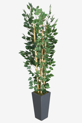 Yapay Çiçek Deposu - Yapay Benjamin Ağacı 155 cm 4lü Bambu Gövdeli Yeşil (Ahşap Antrasit Saksı)
