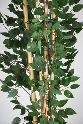 Yapay Benjamin Ağacı 155 cm 4lü Bambu Gövdeli Yeşil (Ahşap Antrasit Saksı) - Thumbnail