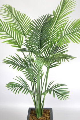 Antrasit Saksıda Yapay 13 Yapraklı Areka Palmiye Ağacı 190 cm - Thumbnail