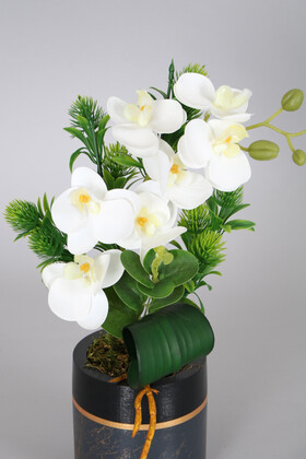 Exclusive Saksıda 7 Kandilli Mini Yapay Islak Orkide Tanzimi 30 cm - Thumbnail