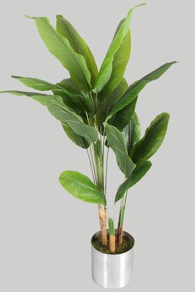 17 Yapraklı Gri Metal Saksıda Yapay Muz Ağacı 180 cm - Thumbnail