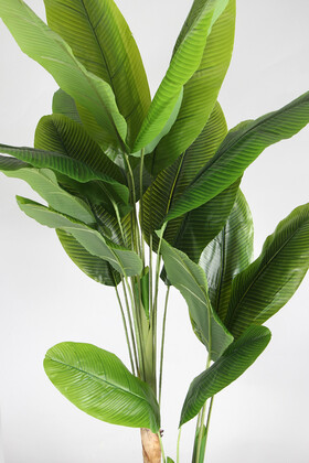 17 Yapraklı Gri Metal Saksıda Yapay Muz Ağacı 180 cm - Thumbnail