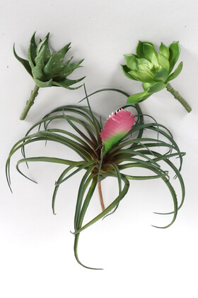 Yapay Çiçek Deposu - Yapay Succulent Sukulent Set - 2