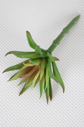 Yapay Çiçek Deposu - Yapay Succulent Sukulent Kaktüs Fritillaria Imperialis Koyu Yeşil