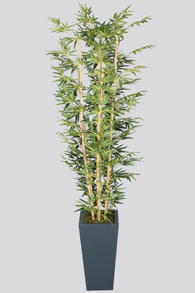 7 Gövdeli Yapay Bambu Ağaç (1.Sınıf Yaprak) 230 cm - Thumbnail