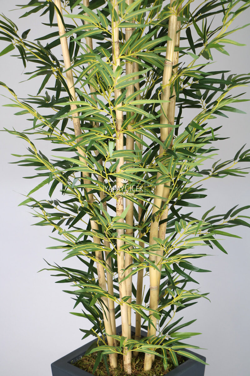 7 Gövdeli Yapay Bambu Ağaç (1.Sınıf Yaprak) 230 cm