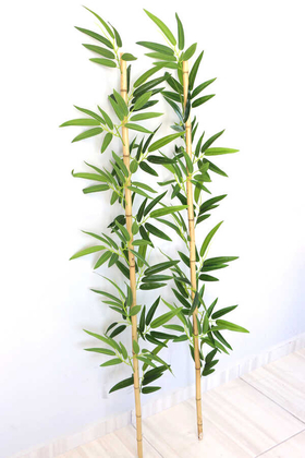 Yapay Çiçek Deposu - İri Yapraklı 160 cm Yapay 12 Dallı Gerçek Bambu