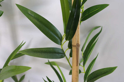 İri Yapraklı 160 cm Yapay 12 Dallı Gerçek Bambu - 4