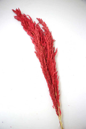 Yapay Çiçek Deposu - Kuru Çiçek Pampas Otu 100 cm Kırmızı