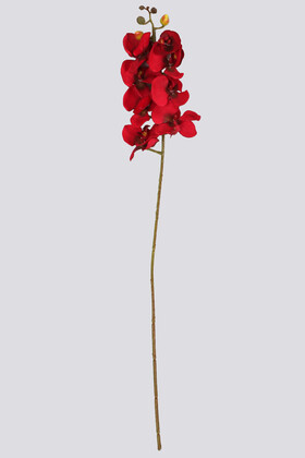 Yapay Kaliteli Kumaş Orkide Çiçeği 78 cm Kırmızı - Thumbnail