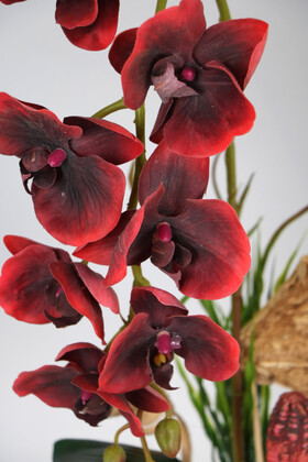 Vintage Kabartmalı Saksıda Islak Etli Dokuda Yapay Orkide 55 cm Kırmızı - Thumbnail