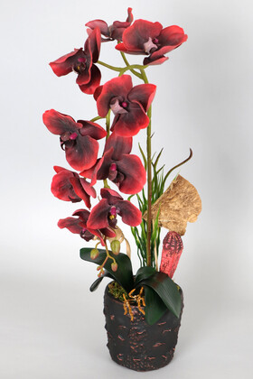 Yapay Çiçek Deposu - Vintage Kabartmalı Saksıda Islak Etli Dokuda Yapay Orkide 55 cm Kırmızı