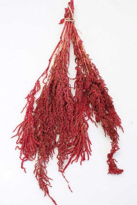 Yapay Çiçek Deposu - Şoklanmış Sarkan Amaranthus Demeti 100 gr Mat Kırmızı