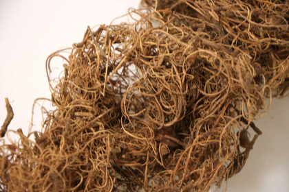 Tropik Curlu Moss Kıvırcık Koko Yosunu 150gr - 3