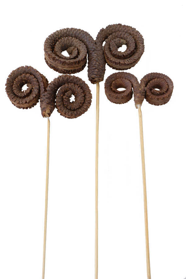 Kuru Çiçek 3 Boy Palm Ring 45 Cm