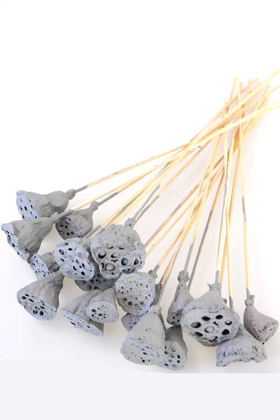 Yapay Çiçek Deposu - 20 Adet Bambu Şiş Saplı Mini Lotus Çiçeği Plant Duman Grisi (Gerçek Lotus)