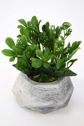 Yapay Çiçek Deposu - Mermer Görünümlü Beton Saksıda Kalanşo Çiçeği (Kalanchoe) Yeşil