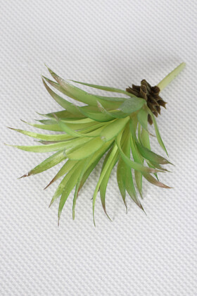 Yapay Çiçek Deposu - Yapay Succulent Sukulent Kaktüs Tillandsia Ionantha Açık Yeşil