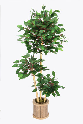 Yapay Benjamin Ağacı 115 cm 3lü Bambu Gövdeli Yeşil(Ahşap Saksı) - 2