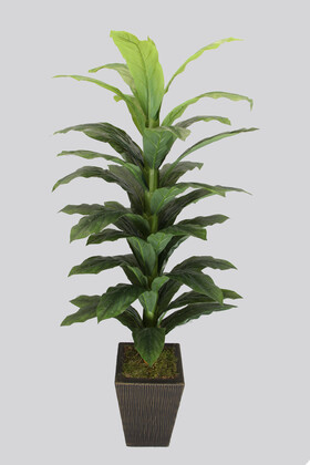 Siyah-Gold Saksılı Yapay Drecina Ağacı 160 cm Dracaena Plant - Thumbnail