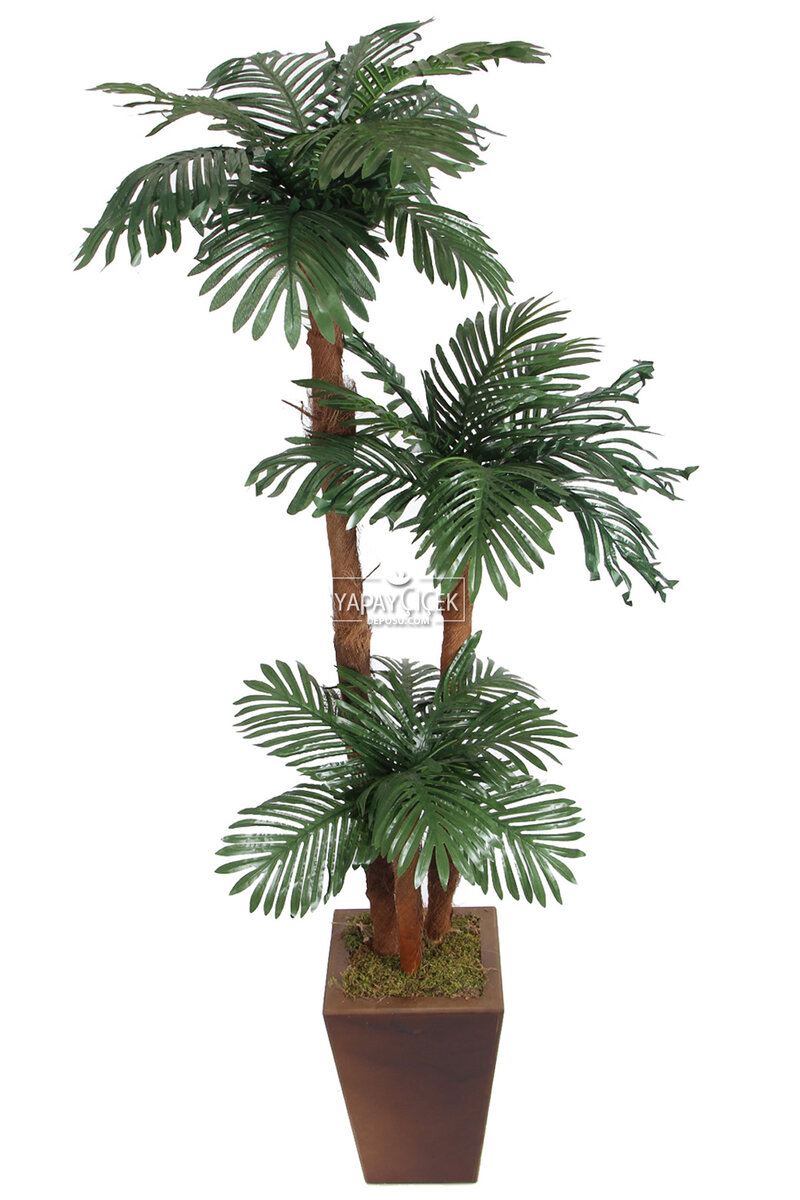 Kokos Gövdeli Yapay Kumaş Yapraklı Areka Ağacı 180 cm