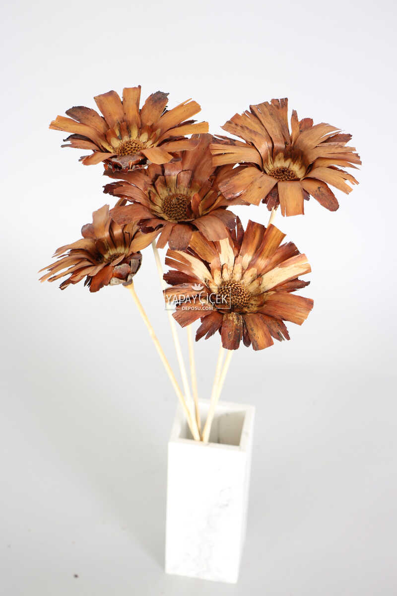 Kuru Çiçek 5li Afrika Çiçeği 42 cm