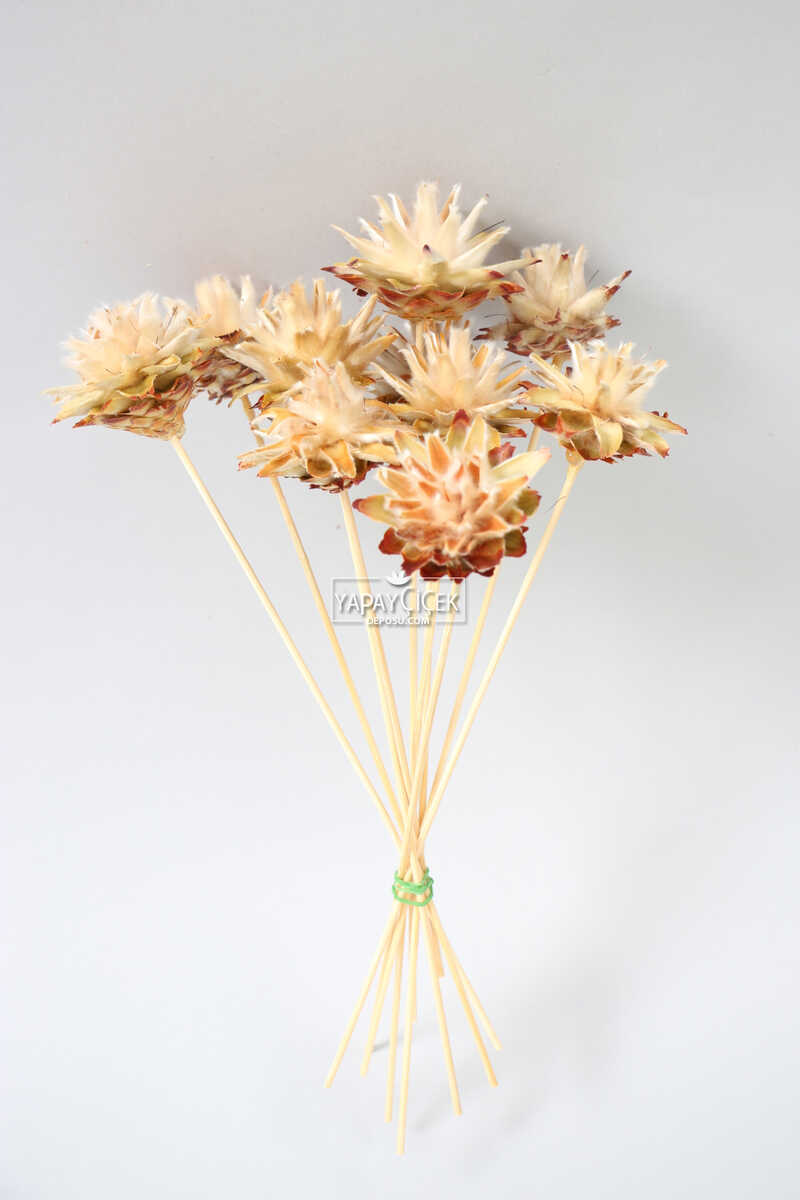 Kuru Çiçek 10lu Tüylü Amazon Çileği 28 cm