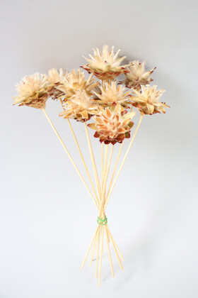 Yapay Çiçek Deposu - Kuru Çiçek 10lu Tüylü Amazon Çileği 28 cm