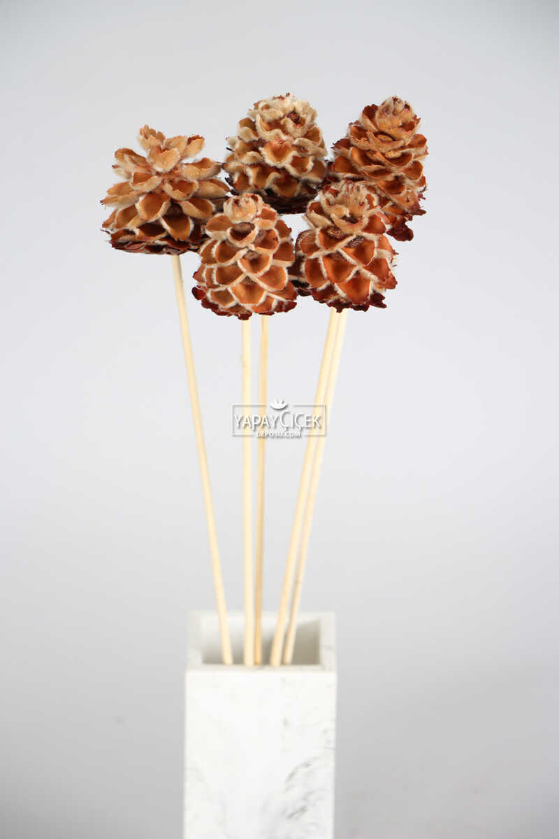 Kuru Çiçek 5li Tüylü Mexico Kozalağı 45 cm