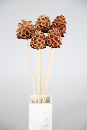 Yapay Çiçek Deposu - Kuru Çiçek 5li Tüylü Mexico Kozalağı 45 cm