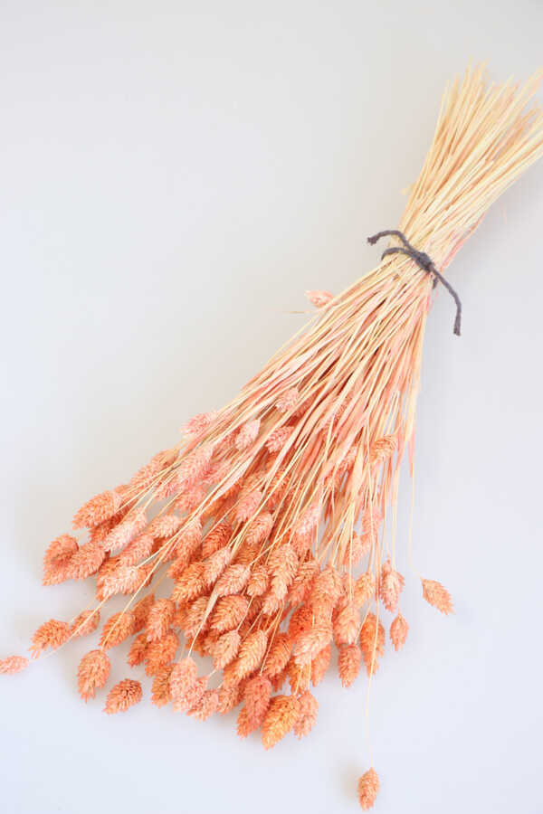 Kuru Cicek Palaris Kus Otu Somon Kus Otu Yapay Cicek Deposu