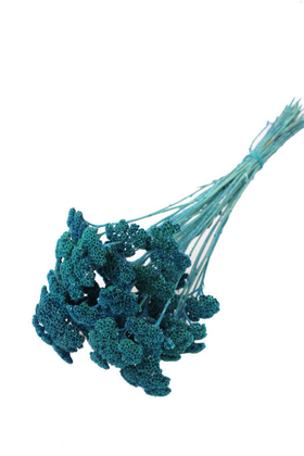 Yapay Çiçek Deposu - Kuru Çiçek Şemsiye Otu Demeti Petrol Mavi(Özel Kesim)