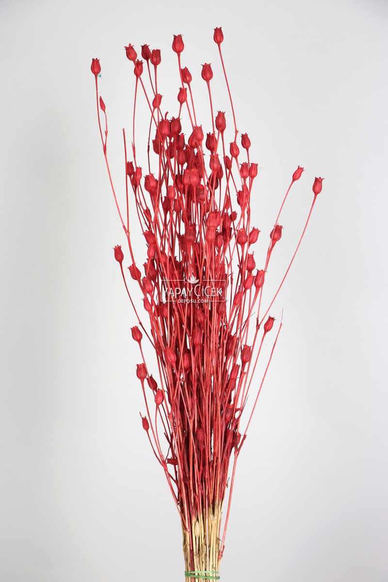 Kuru Çiçek Vazo Çiçeği 55 cm Kırmızı